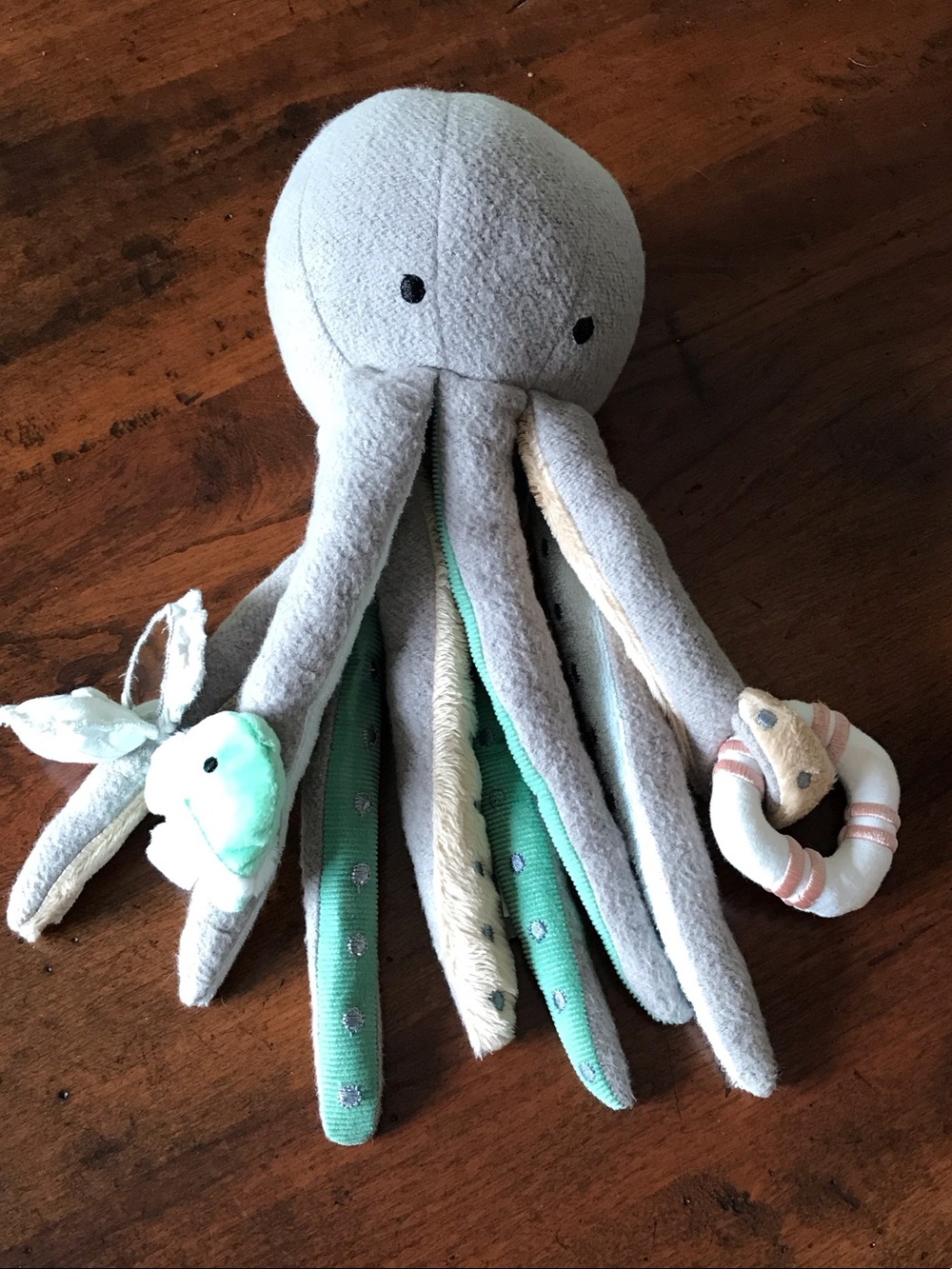 Crate & Kids Sea Life Octopus Activity Toy